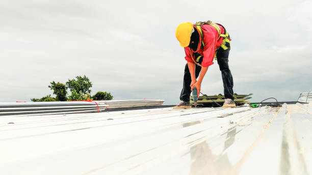Best Steel Roofing  in Ellitt, CO