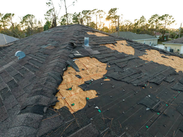 Best Green or Eco-Friendly Roofing Solutions  in Ellitt, CO